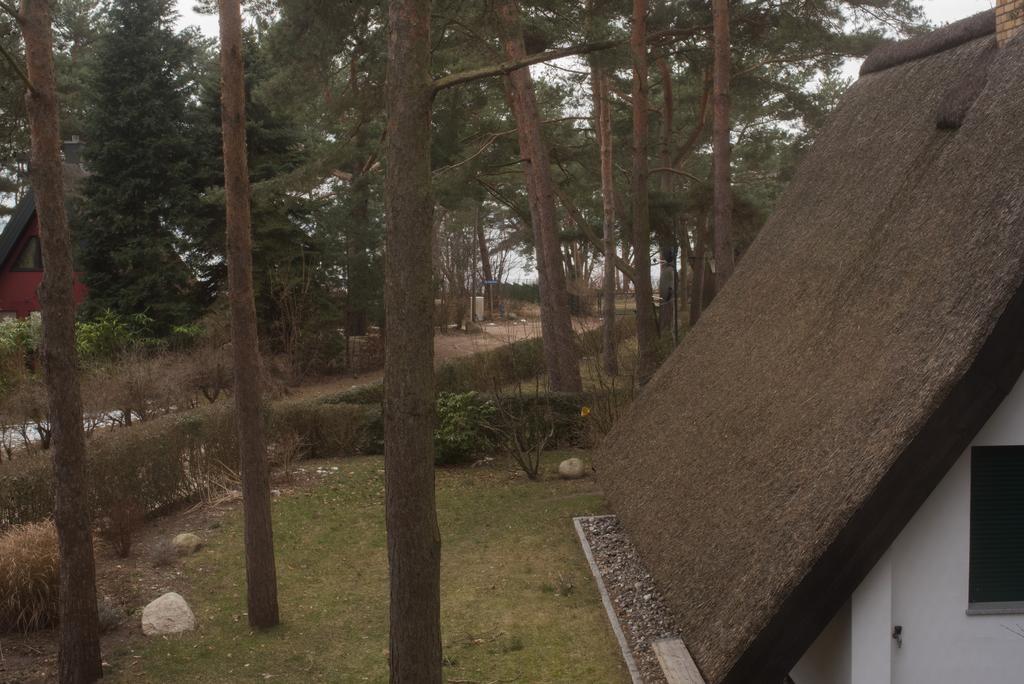 Reetdach-Ferienhaus In Quilitz Rankwitz Dış mekan fotoğraf